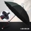 Tanjiro Kitana Umbrella
